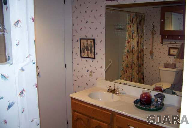 3530 G Road Palisade, CO 81526 - Photo 18 of 25 a bathroom with a sink and a mirror