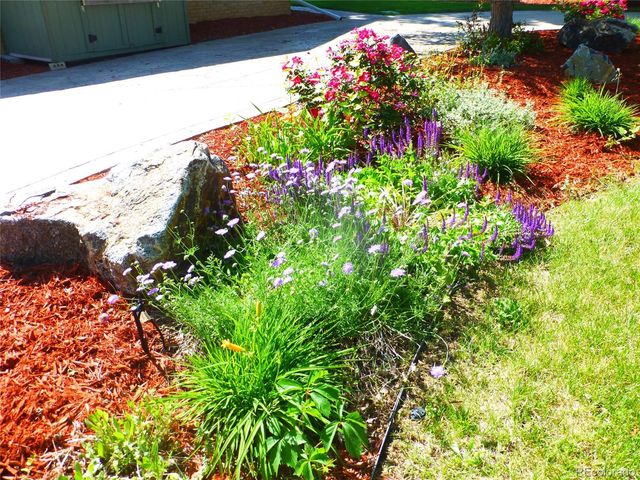 a picture of flowers