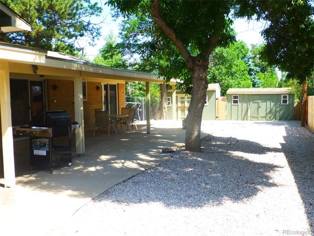 a view of a yard with plants and large trees
