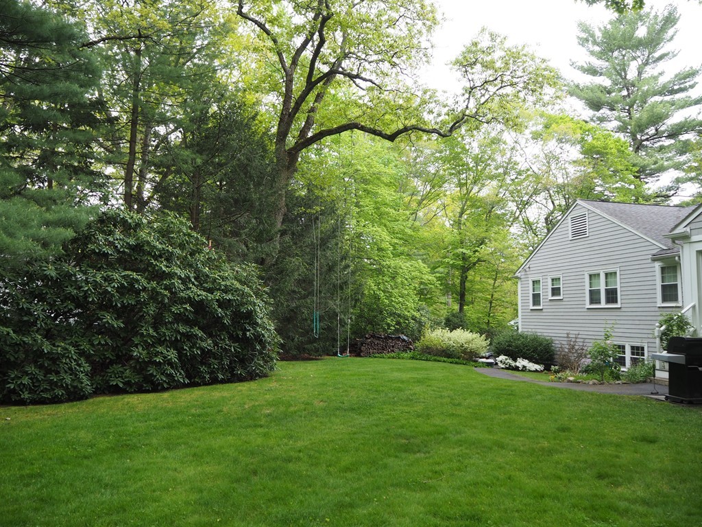 51 Baskin Road Lexington, MA 02421 - Photo 26 of 28 a backyard of a house with potted plants and large trees