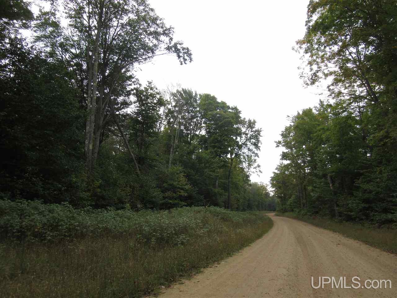 6736 North Co Road Manistique, MI 49854 - Photo 16 of 27