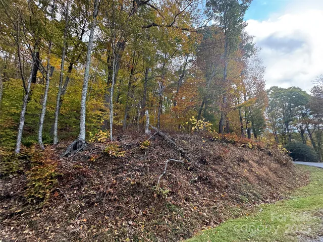a view of outdoor space and tree