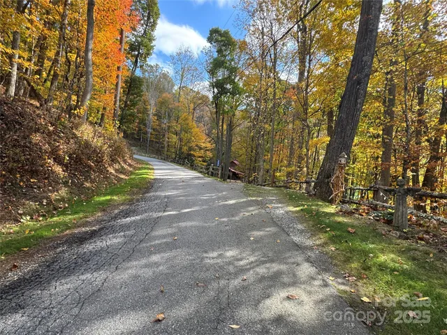 a view of a yard with plants and trees