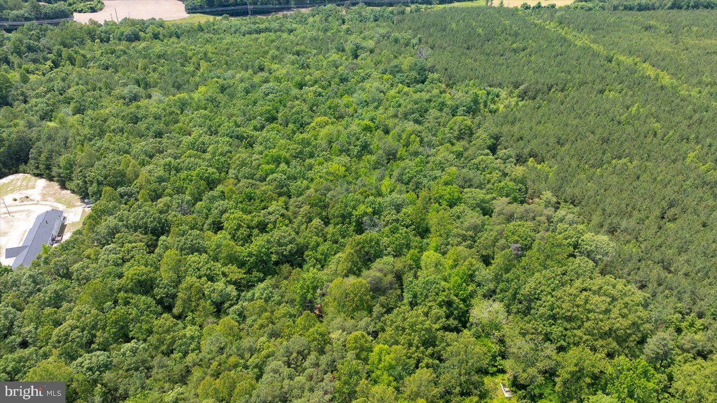 Lot 2 Golansville Road Milford, VA 22514 - Photo 5 of 7