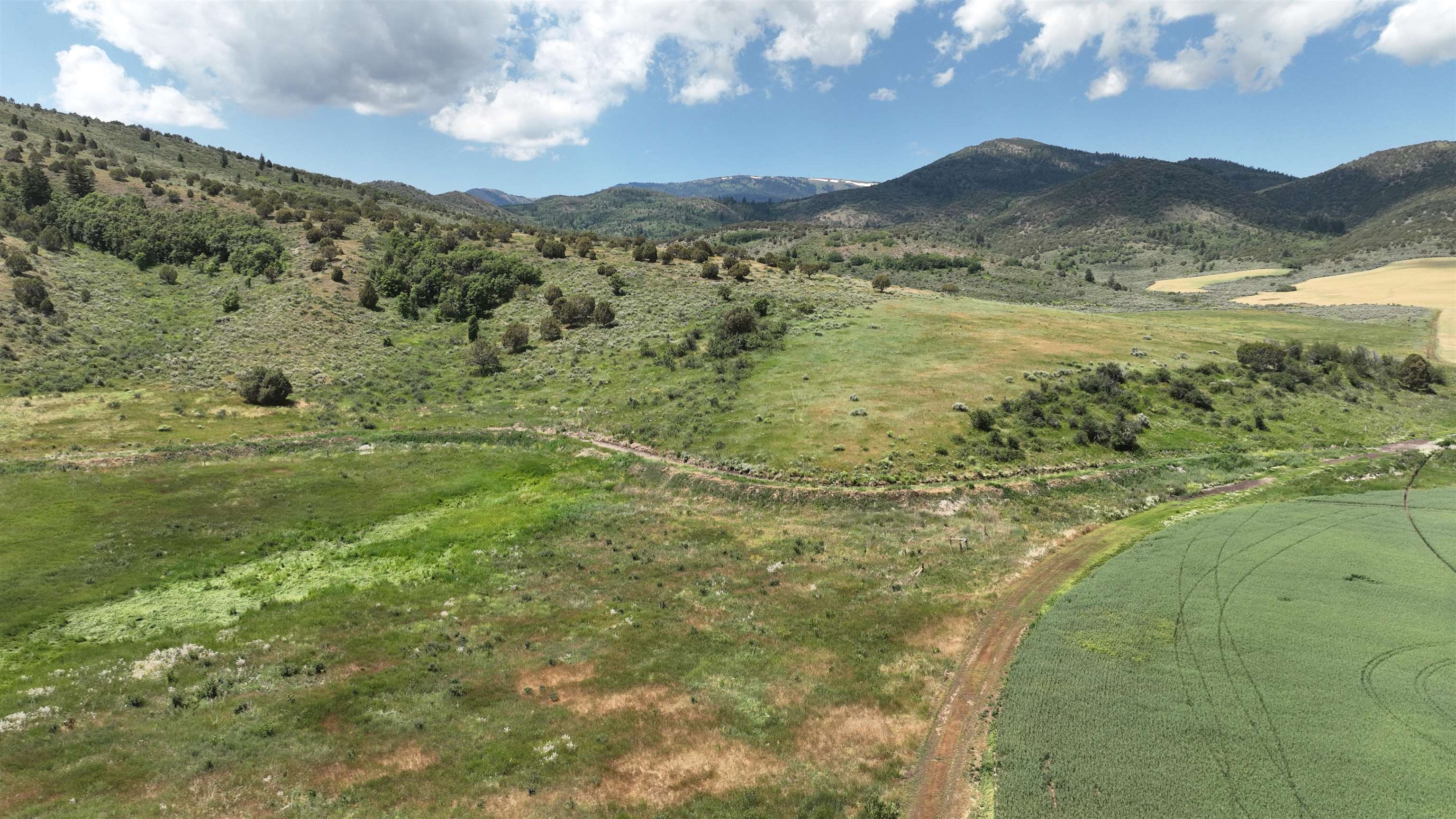 955-943 Hegstrom Road Grace, ID 83241 - Photo 11 of 45 Gallery Image 11
