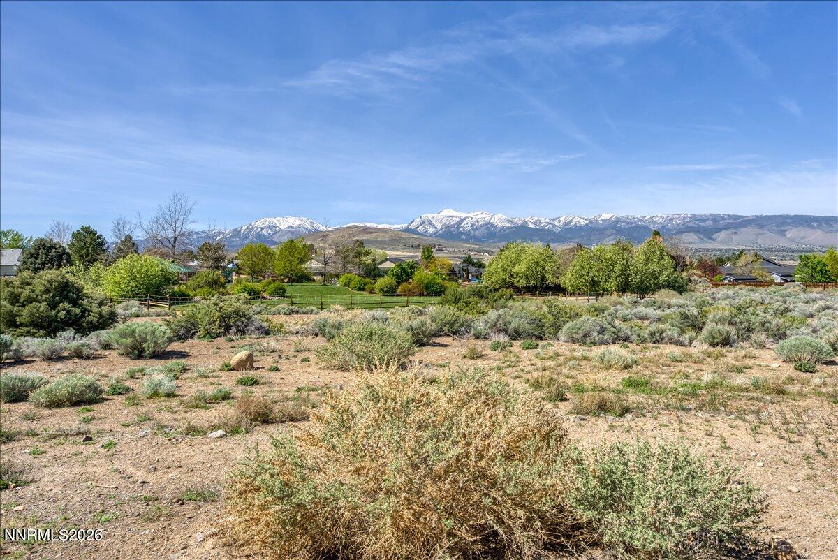 14239 Silver Moon Court Reno, NV 89521 - Photo 39 of 53 45-14239 Silver Moon Ct Reno NV 89521 (4