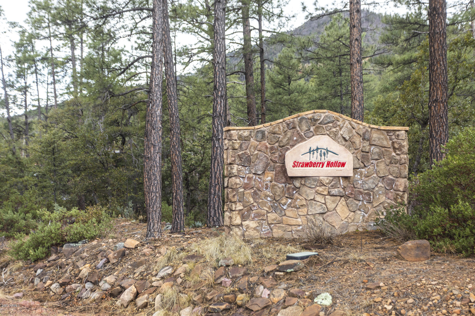 4212 Strawberry Hollow Pine, AZ 85544 - Photo 35 of 35 597A9755