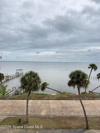 a view of a palm tree with an empty space
