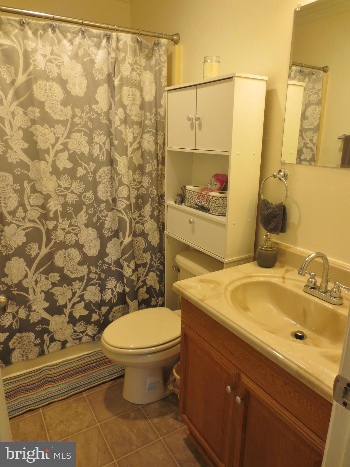 12303 Scotts Mill Road Culpeper, VA 22701 - Photo 14 of 26 Bath