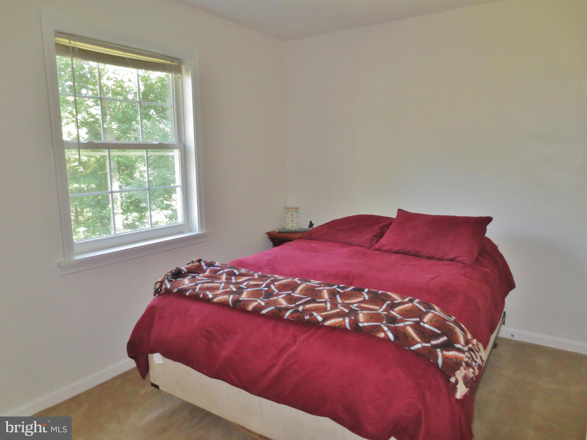 12303 Scotts Mill Road Culpeper, VA 22701 - Photo 17 of 26 Bedroom