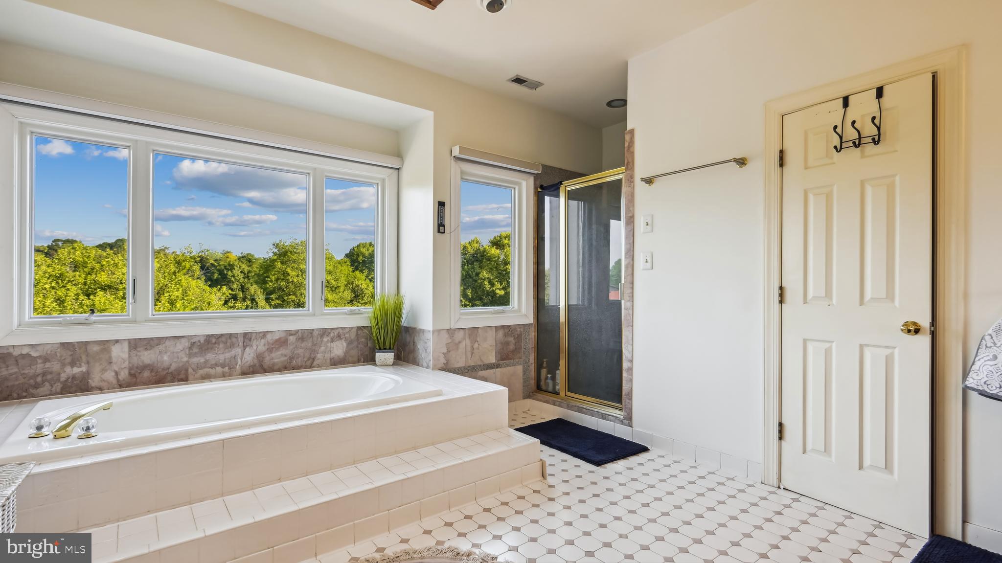 16115 Hamilton Station Road Waterford, VA 20197 - Photo 29 of 65 Primary Bath w/ View
