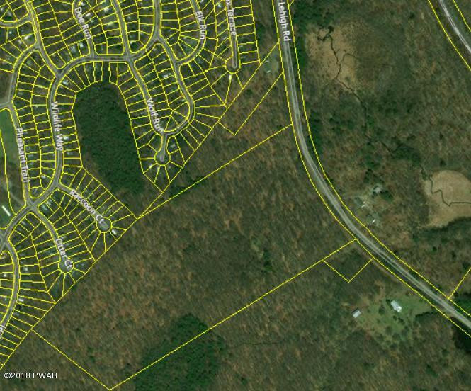 Lehigh Road Gouldsboro, PA 18424 - Photo 4 of 4