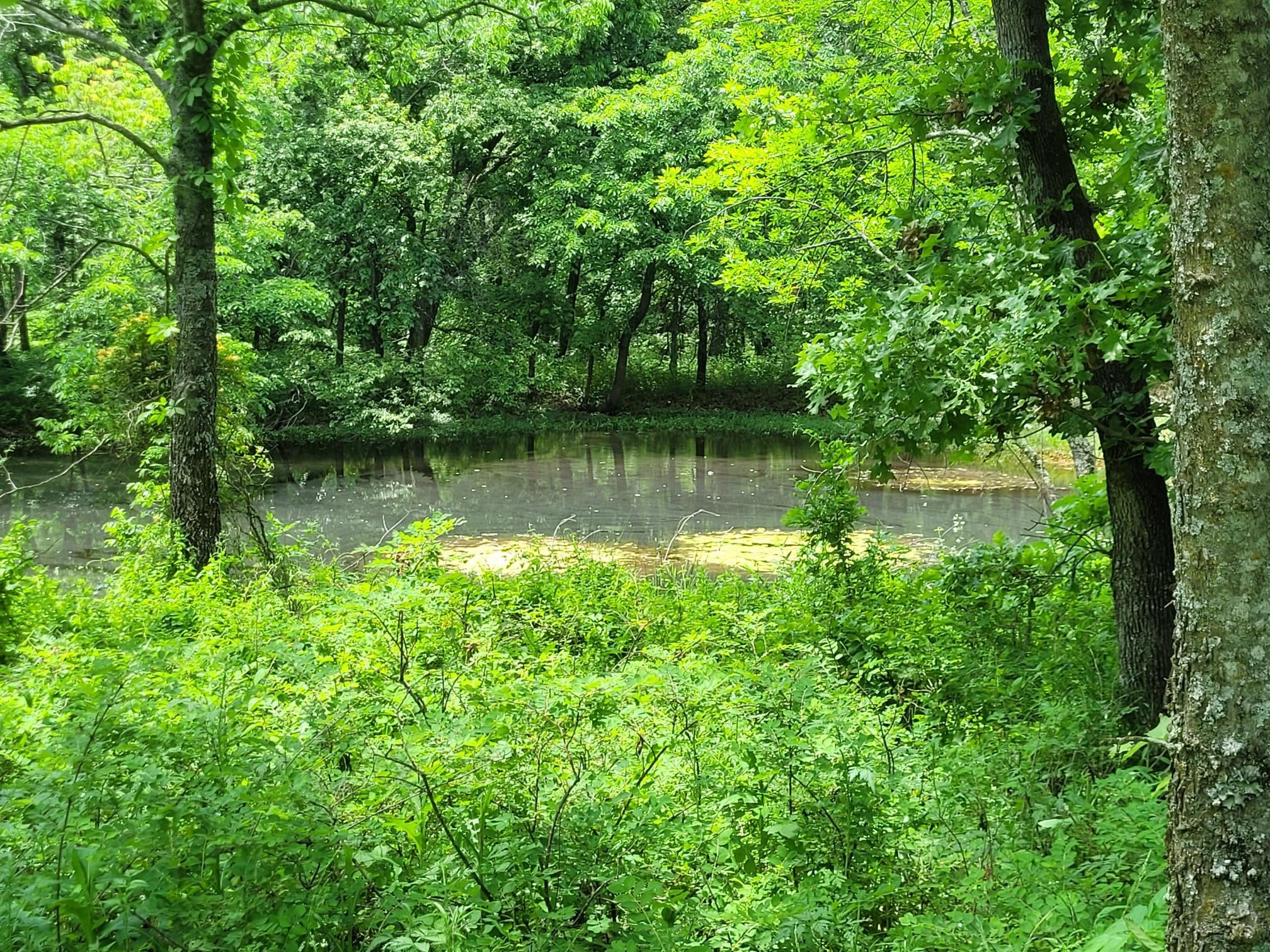439148 East 60 Road Welch, OK 74369 - Photo 43 of 45 POND