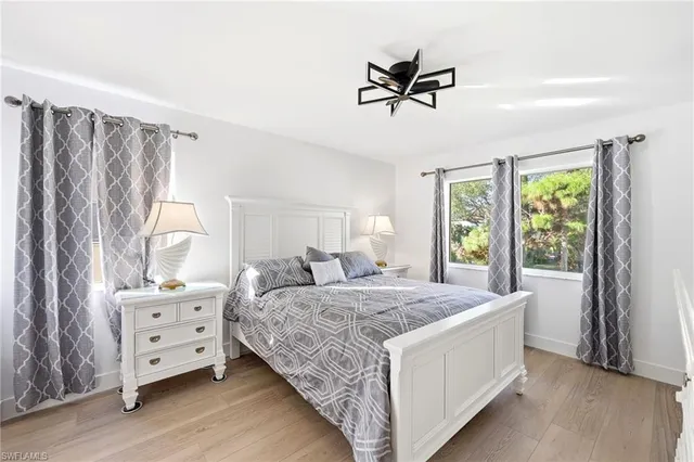 a view of a yard with plants and trees