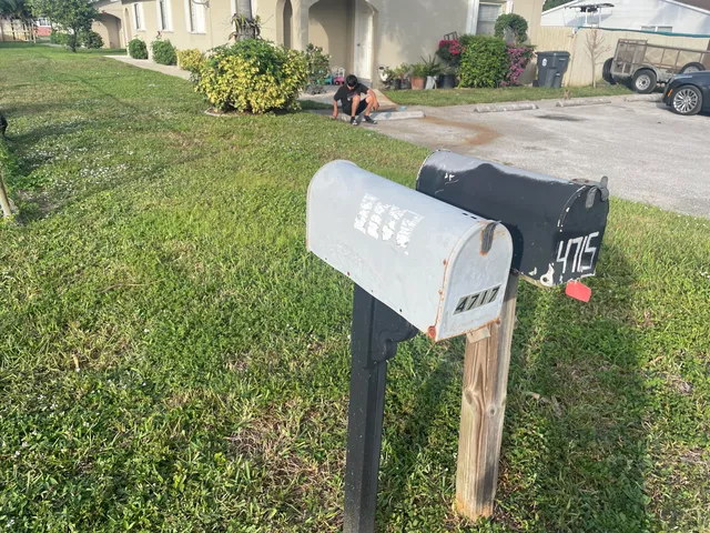 a view of a back yard
