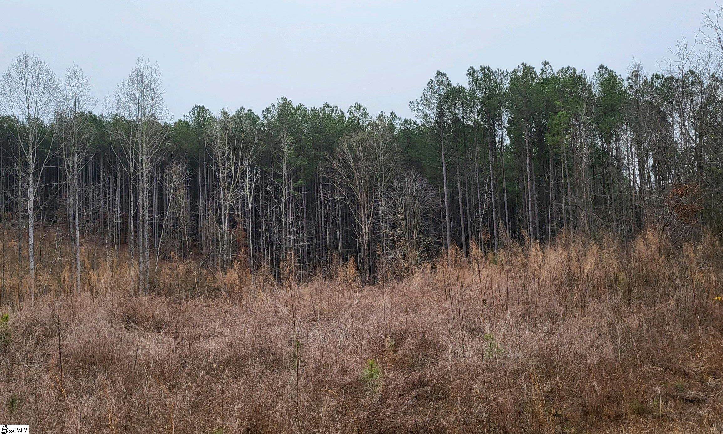 461 Cowford Bridge Road Spartanburg, SC 29302 - Photo 2 of 6