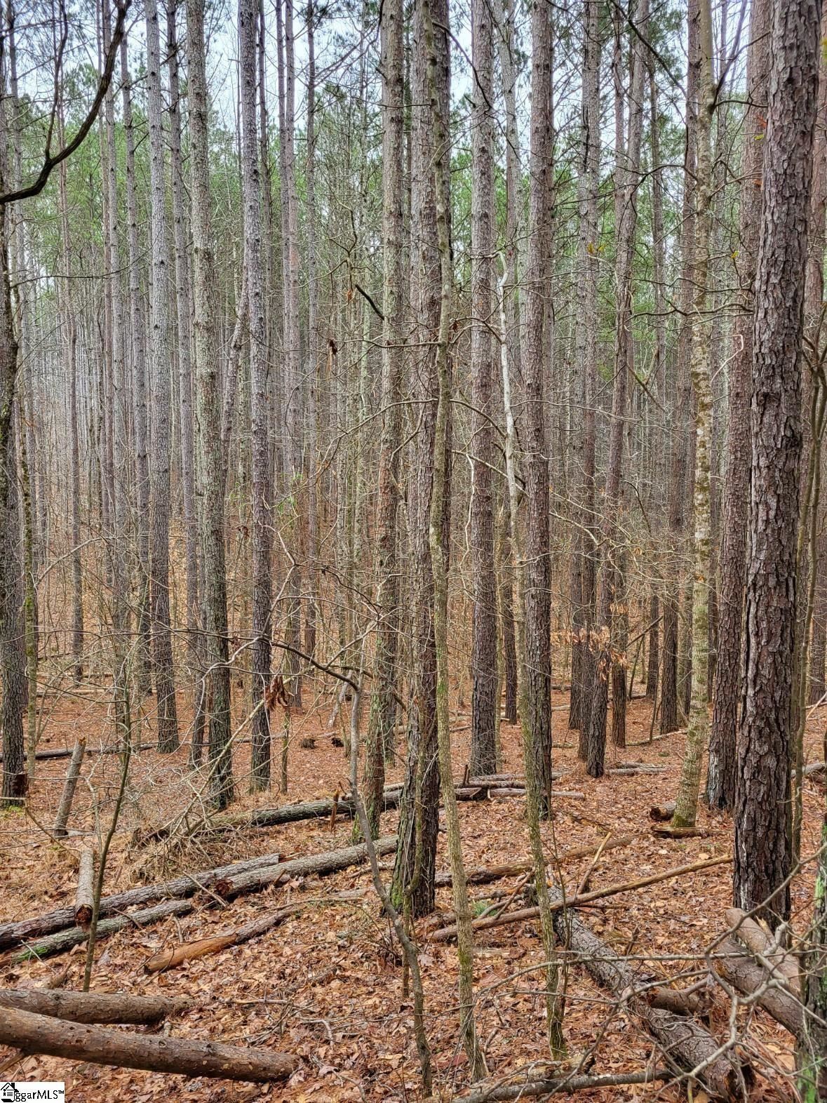 461 Cowford Bridge Road Spartanburg, SC 29302 - Photo 3 of 6