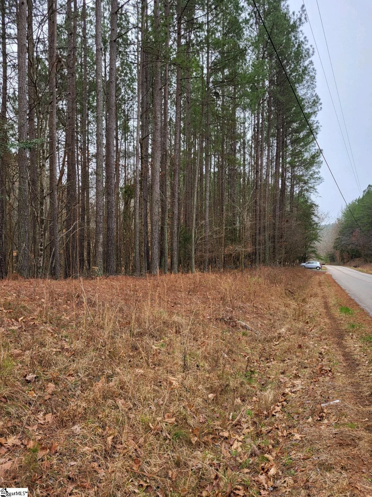 461 Cowford Bridge Road Spartanburg, SC 29302 - Photo 4 of 6