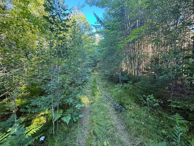 $649,000 | 65997 Great River Road, Jacobson, MN 55752