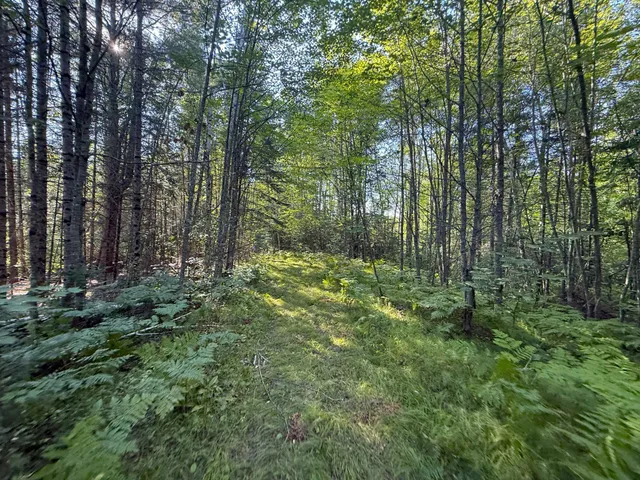 $649,000 | 65997 Great River Road, Jacobson, MN 55752