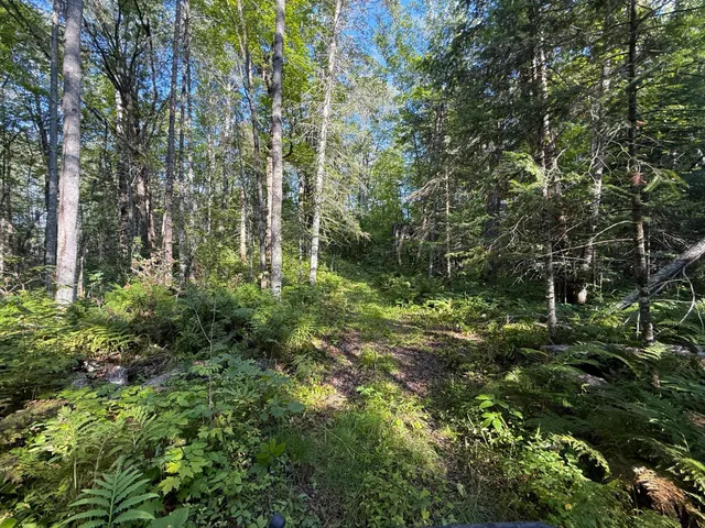 $649,000 | 65997 Great River Road, Jacobson, MN 55752