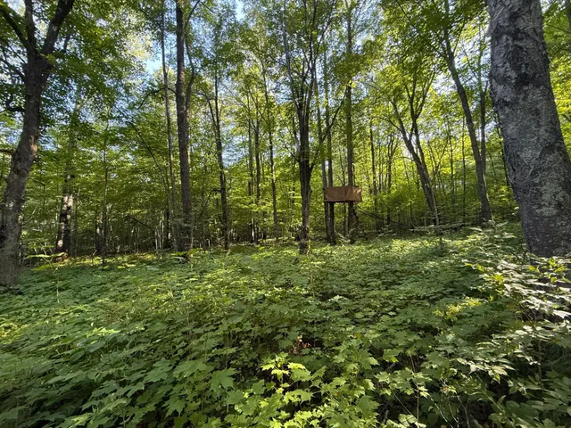 $649,000 | 65997 Great River Road, Jacobson, MN 55752