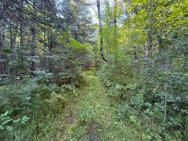 $649,000 | 65997 Great River Road, Jacobson, MN 55752