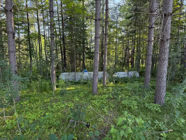 $649,000 | 65997 Great River Road, Jacobson, MN 55752