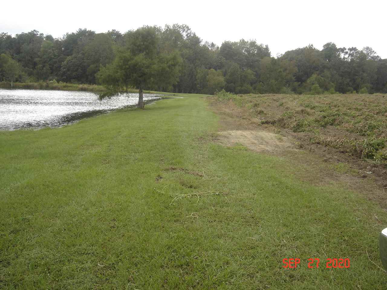 49-acres - Messick Loop Andalusia, AL 36421 - Photo 7 of 30 Gallery Image 7