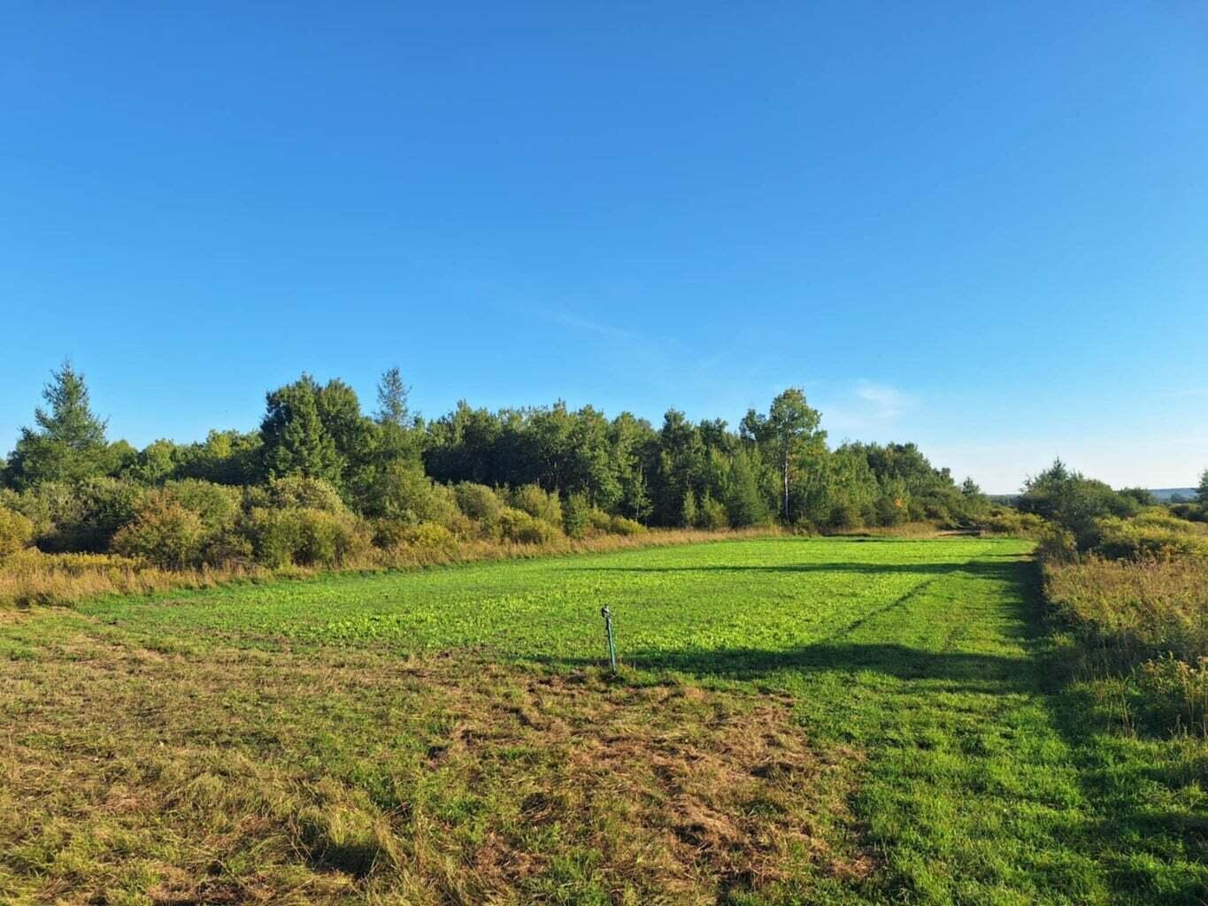 7955 West 21 Mile Road Rudyard, MI 49780 - Photo 5 of 5 20250918133252738775000000-o