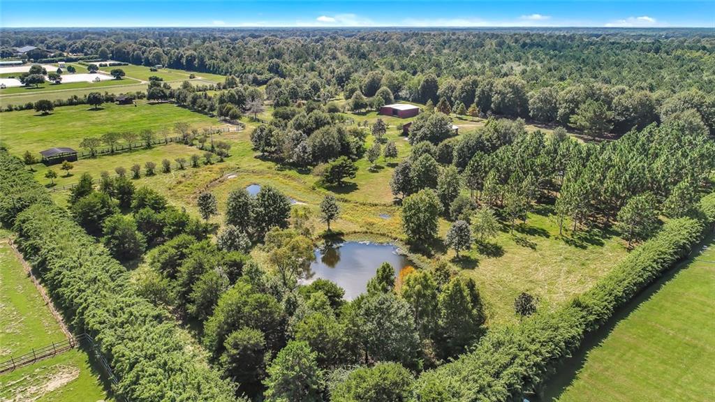 27360 A Pierre Road Folsom, LA 70437 - Photo 11 of 14 Gallery Image 11