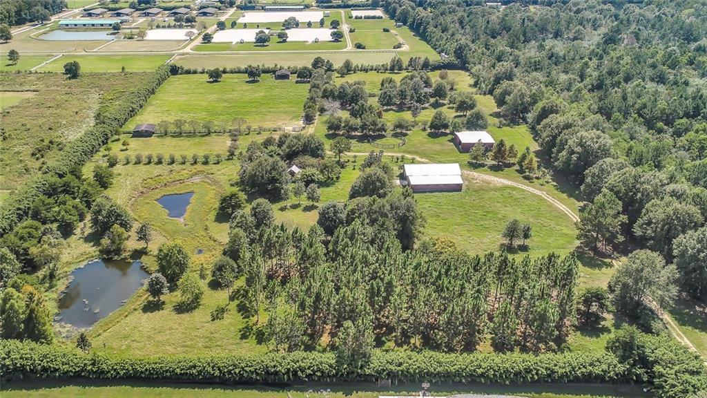 27360 A Pierre Road Folsom, LA 70437 - Photo 3 of 14 Gallery Image 3