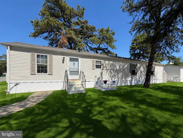 a view of a backyard with plants and large tree