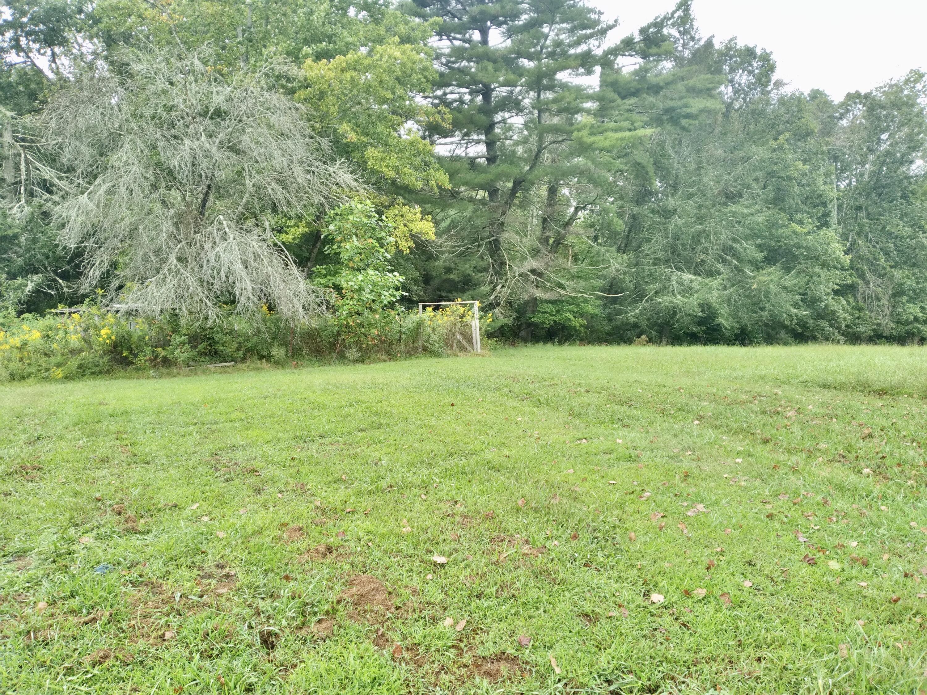 253 Taylor Road Gruetli Laager, TN 37339 - Photo 1 of 64 IMG_9784