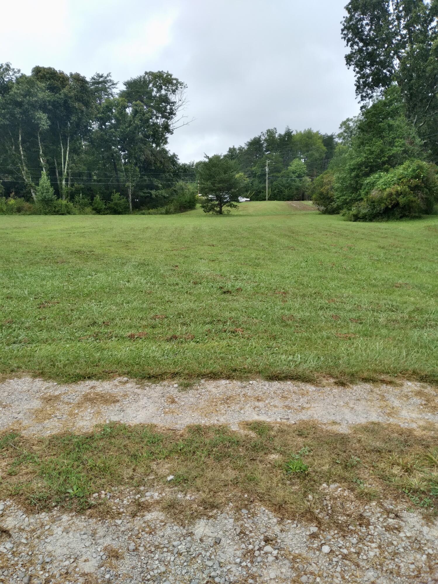 253 Taylor Road Gruetli Laager, TN 37339 - Photo 19 of 64 IMG_9788