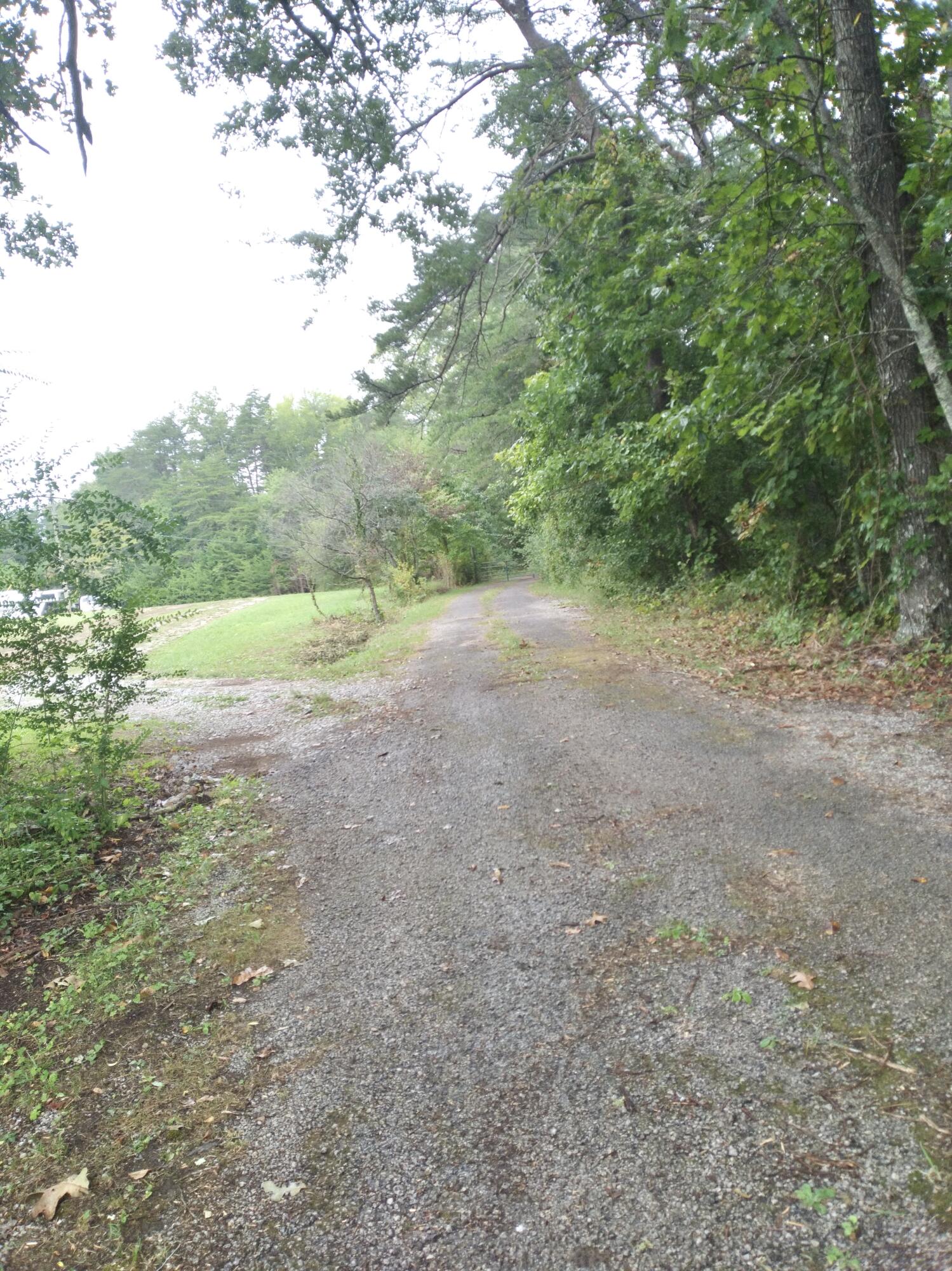 253 Taylor Road Gruetli Laager, TN 37339 - Photo 34 of 64 IMG_9779