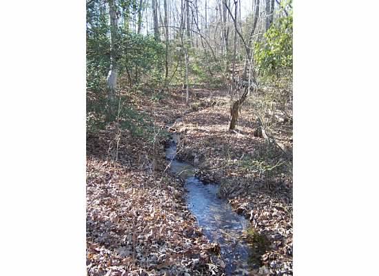 253 Taylor Road Gruetli Laager, TN 37339 - Photo 37 of 64 Howard Roe Farm 4