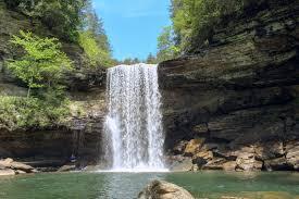 253 Taylor Road Gruetli Laager, TN 37339 - Photo 48 of 64 Roe Farm South Cumberland Park Backpacki