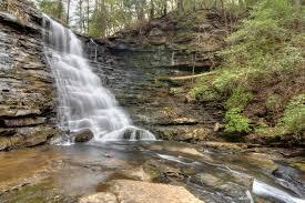 253 Taylor Road Gruetli Laager, TN 37339 - Photo 62 of 64 Roe Farm South Cumberland Park Salvage G
