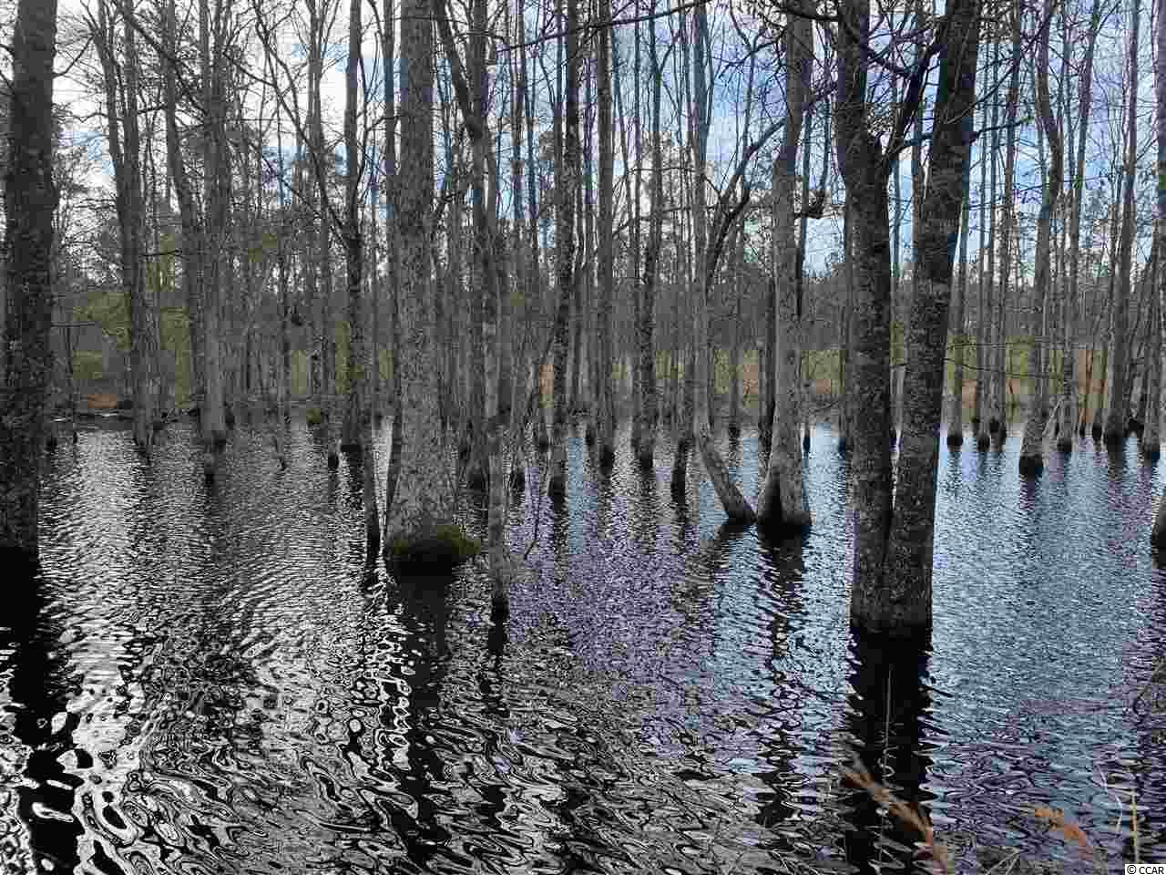 0 Catclaw Road Andrews, SC 29510 - Photo 1 of 5