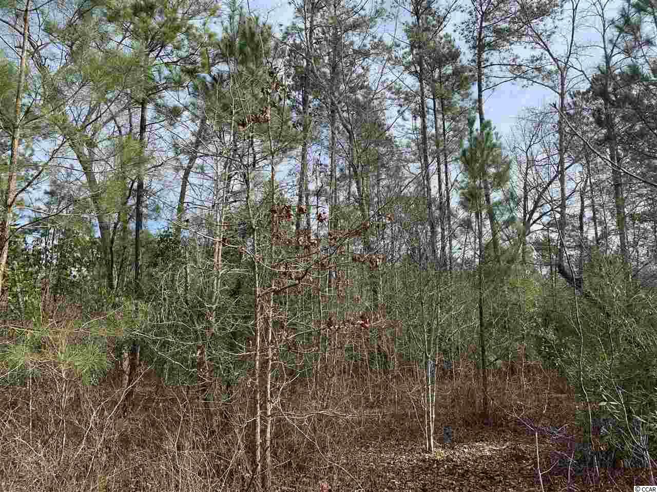 0 Catclaw Road Andrews, SC 29510 - Photo 2 of 5