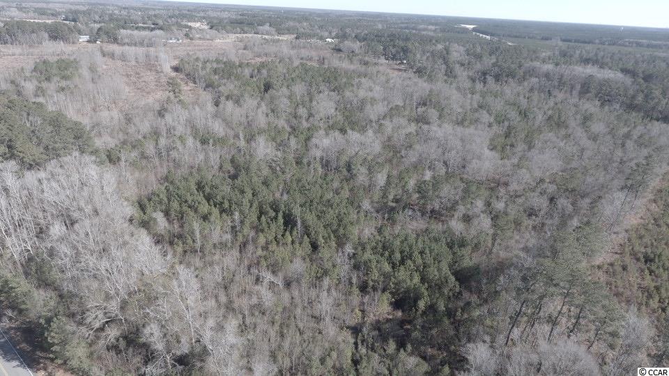 0 Catclaw Road Andrews, SC 29510 - Photo 4 of 5