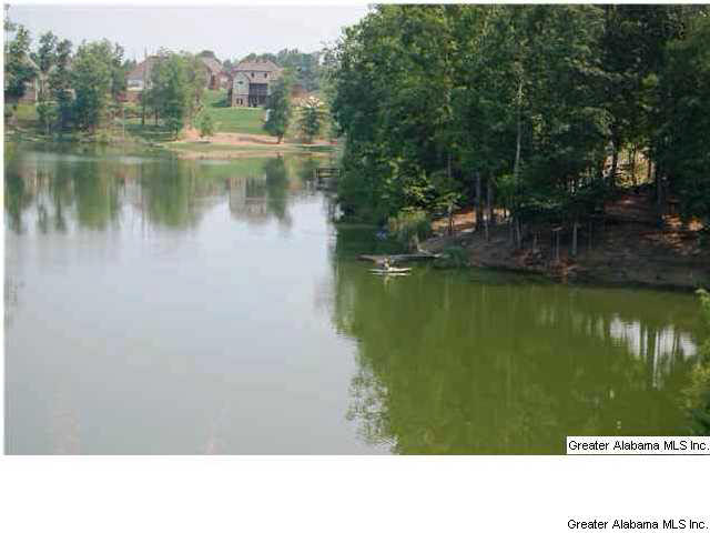 389 Deer Ridge Lane Chelsea, AL 35043 - Photo 29 of 31