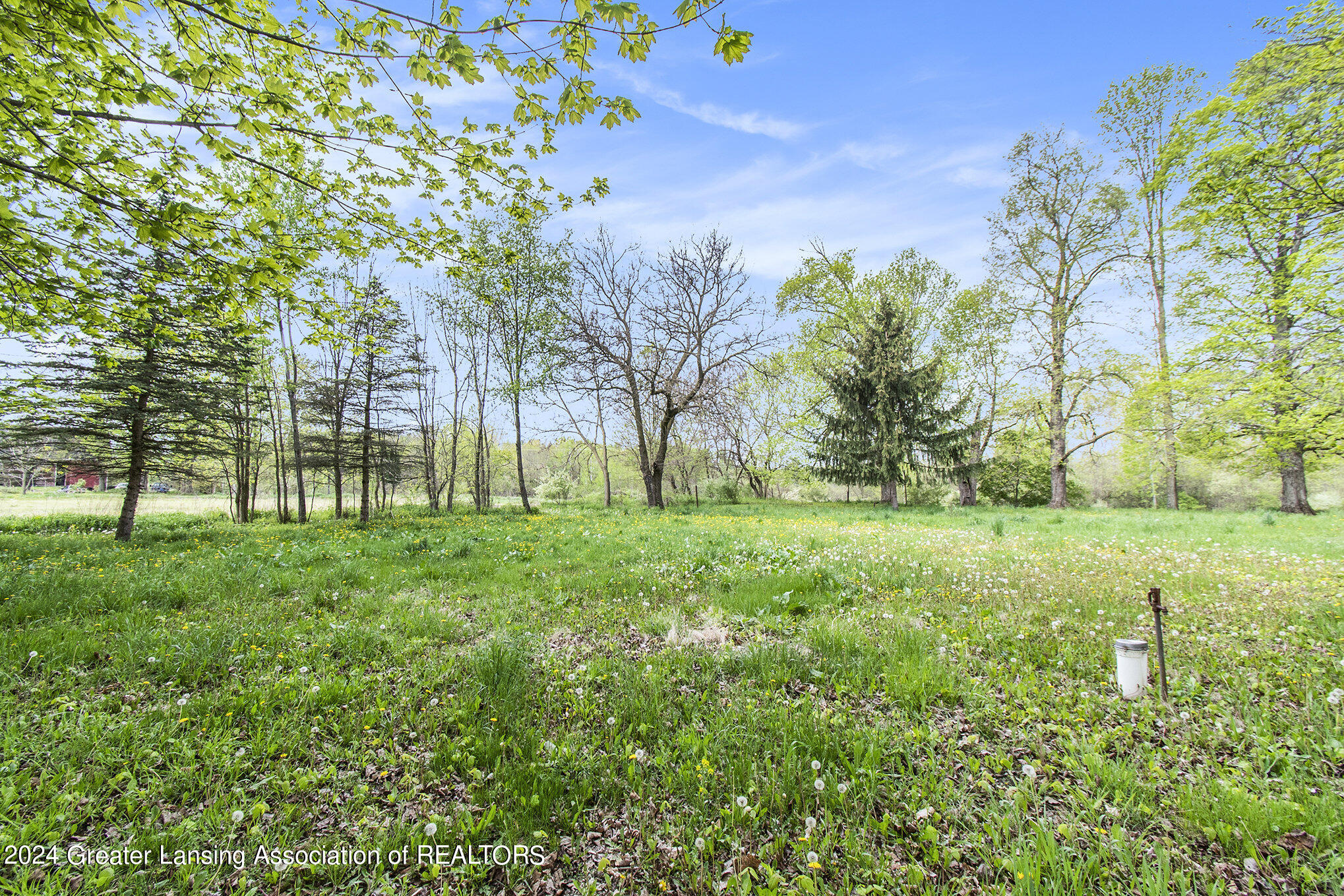 4375 Williamston Road Stockbridge, MI 49285 - Photo 6 of 17 004__ndp3642