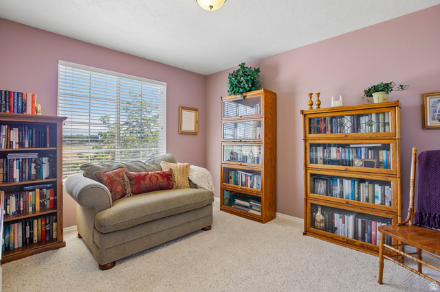 175 Country Court Grantsville, UT 84029 - Photo 26 of 51