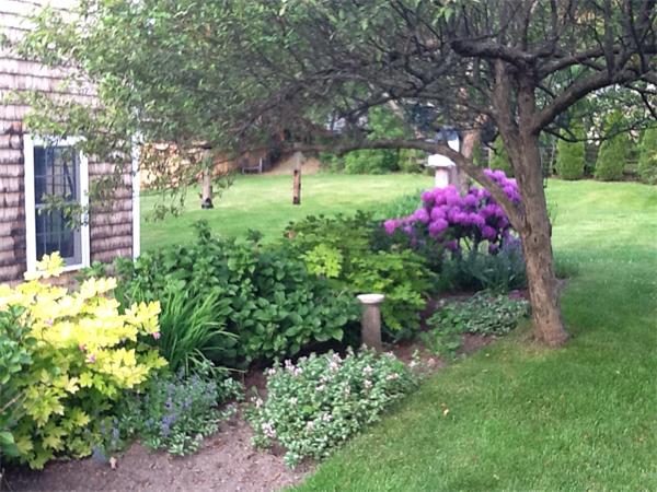 1 Turkey Shore Road Ipswich, MA 01938 - Photo 10 of 13 a small garden covered with tall trees