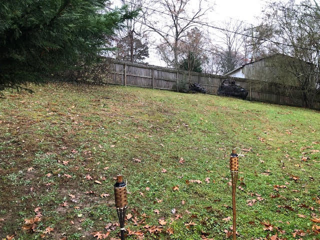 107 Crescent Road Norris, TN 37828 - Photo 10 of 19 unnamed (19)