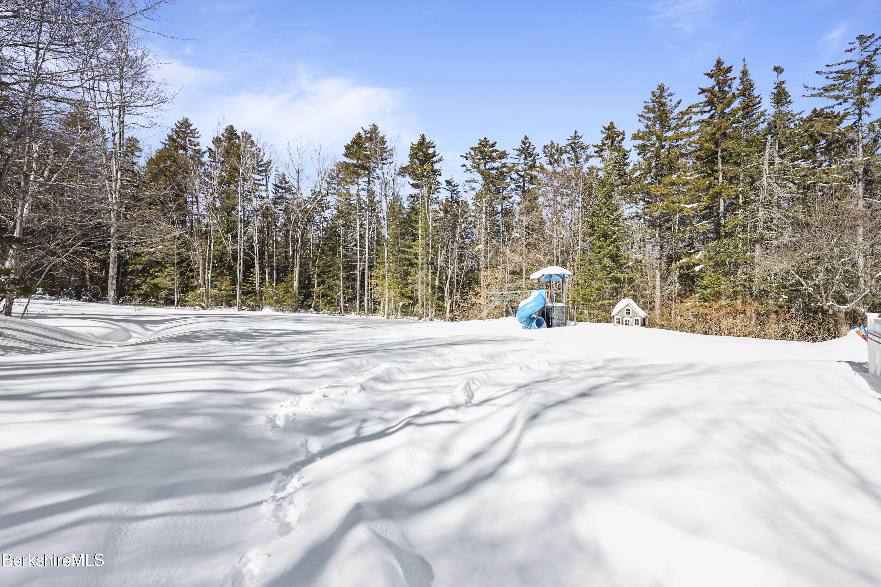 141 Griffin Hill Road Savoy, MA 01256 - Photo 61 of 73 Back Yard