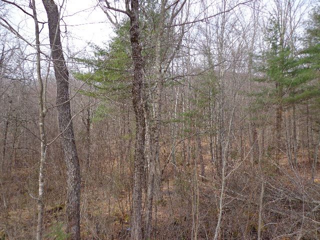 376 Stoddard Road Hancock, NH 03449 - Photo 5 of 21