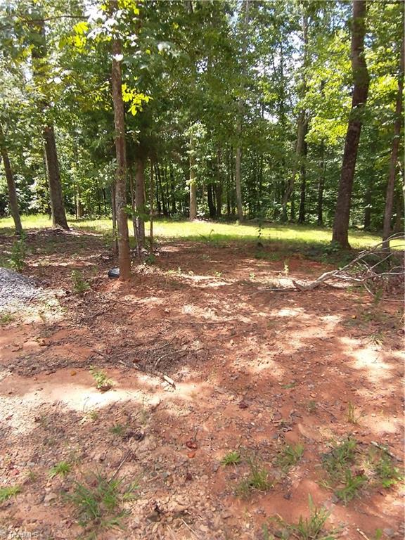 1948 Buffalo Road Sandy Ridge, NC 27046 - Photo 14 of 20